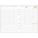 ZeitIno Kalender Duo A5 f&uuml;r Mulberry / Tempus u.a., 2024, Professional, 1 Woche / 2 Seiten